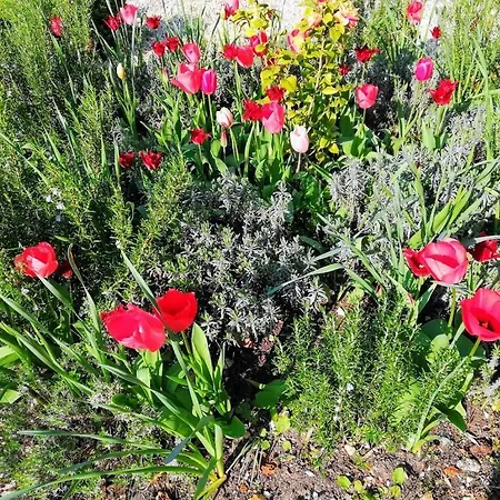 Couette-café Le Domaine Des Platanes