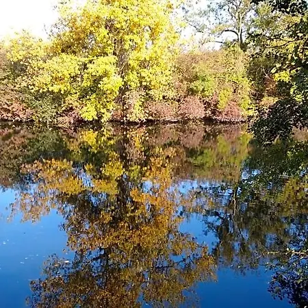 Le Domaine Des Platanes Bourg-Charente