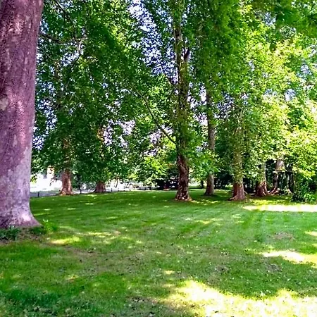 Le Domaine Des Platanes