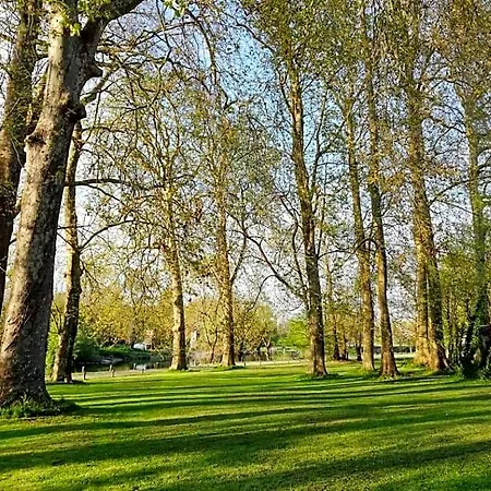 Le Domaine Des Platanes 4* Bourg-Charente