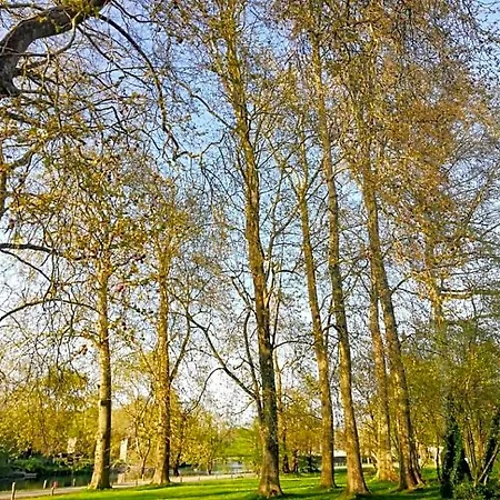 Le Domaine Des Platanes 4* Bourg-Charente
