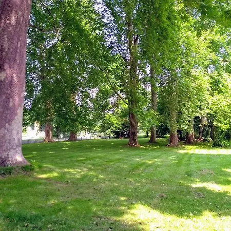 Le Domaine Des Platanes Bourg-Charente