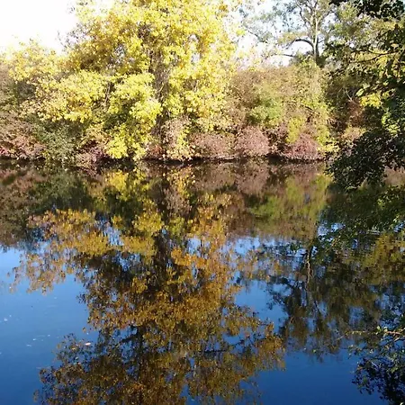 Le Domaine Des Platanes Bourg-Charente